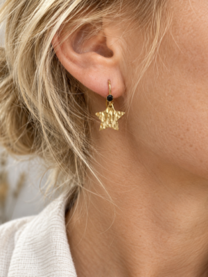 Twigg Remi Earring | Gold Star